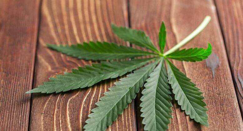 Broken Coast Cannabis Launches Full Spectrum ‘...