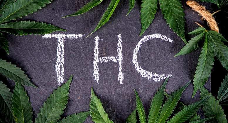Tilray Medical Expands Portfolio of Medical Cannabis...
