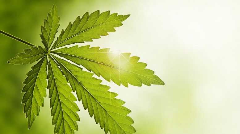 Aurora Cannabis Acquires Controlling Interest in Bev...