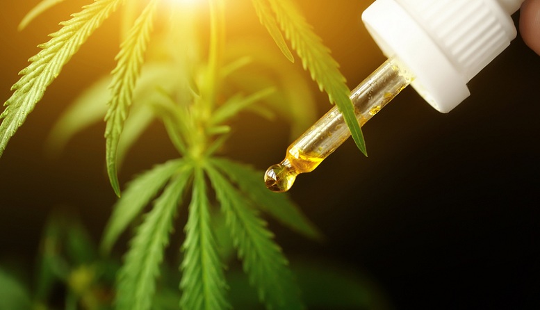 cannabis 3 megapixl Feelgoodsk 1 Maridose Launches Innovative CRO Group for Cannabis-Based Drug Development