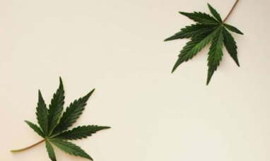 Heritage Cannabis Announces Second Amendment to Seni...