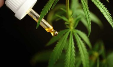 Canopy Growth Corporation Reports Second Quarter Fis...