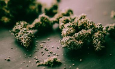 Hemp, Inc. Reports: Marijuana-Cannabidiol (CBD) Bill...