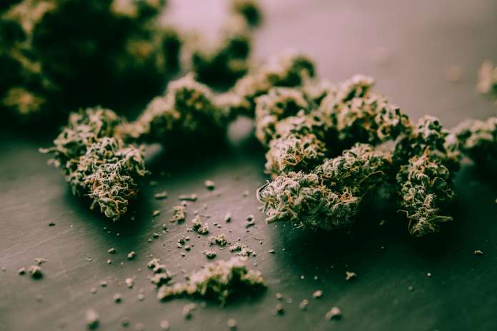 80 1 Hemp, Inc. Reports: Marijuana-Cannabidiol (CBD) Bill Signals New Era in Federal Cannabis Policy