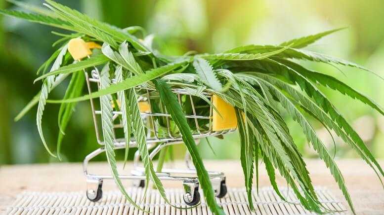 Cannabis16 poringdown@gmail Charlotte's Web Enters Strategic Alliance with Tilray for Manufacturing and Distribution in Canada