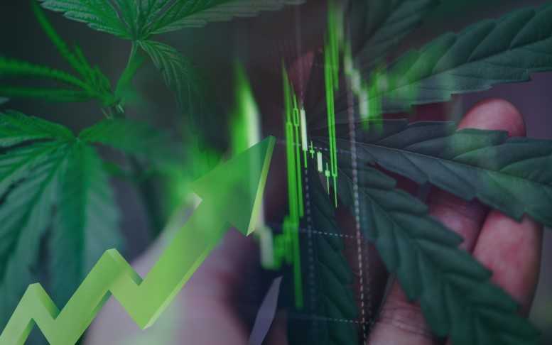 Cannabis17 poringdown@gmail ScottsMiracle-Gro Announces Full-Year Sales and Earnings in Line with Guidance; Launches Phase Two of Project Springboard to Realize Further Cost Savings