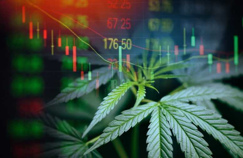 Cannabis30 poringdown@gmail Canaan Inc. to Report Third Quarter 2022 Financial Results on November 14, 2022