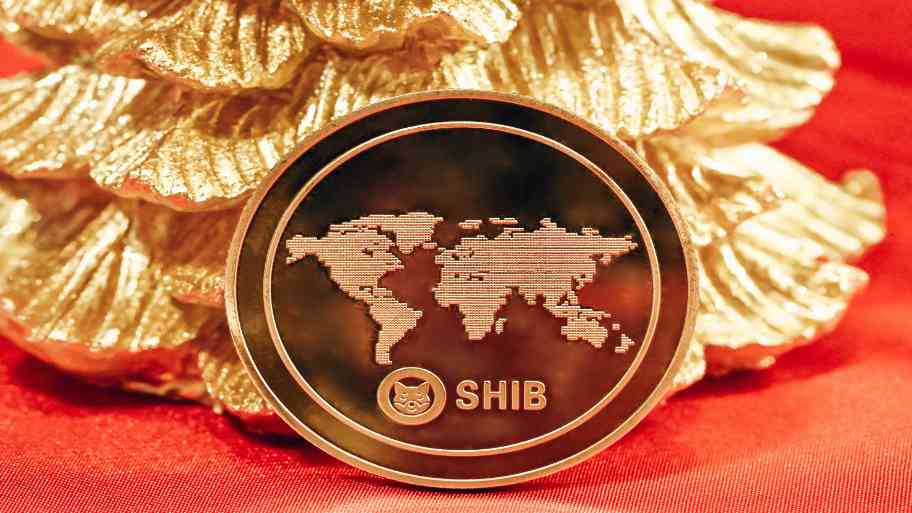 photo 1642388538891 38b2d14e750e 3 Will the Shiba Inu Coin Reach $1 Any Time Soon?