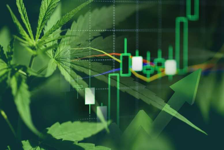 Cannabis28 poringdown@gmail Cannabis Technology Market to Hit $23.46 Billion by 2030: Grand View Research, Inc.