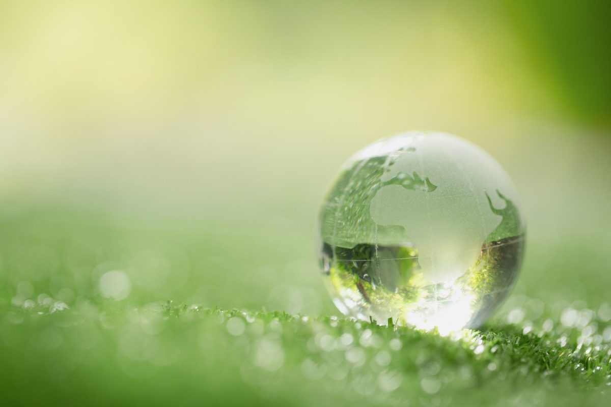 close up crystal globe resting grass forest Base Carbon Announces First Revenues From Sale of Carbon Credits