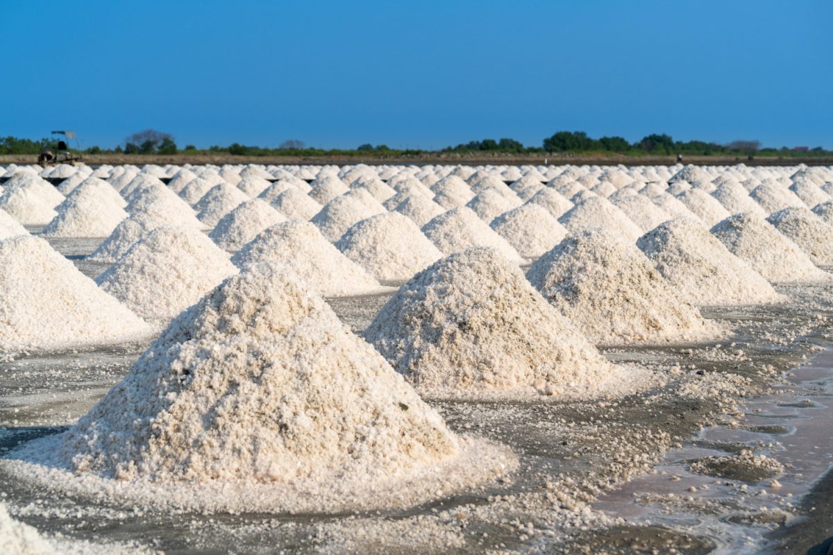 salt salt farm ready harvest thailand 1 American Lithium Arranges $7,160,000 Strategic Investment in Surge Battery Metals