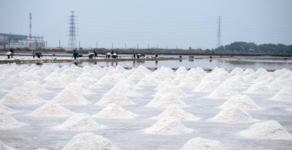 sea salt farm thailand brine salt raw material salt industrial sodium chloride evaporation 1 E3 Lithium Receives Alberta Innovates Progress Payment