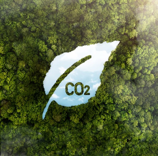 view green forest trees with co2 1 1 JPMorgan Makes One of the Biggest Investments Ever on Carbon Capture