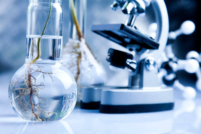 4 2 Agricultural Biologicals Market To Reach USD 13500 million by 2029, witnessing a CAGR of 7.1% | Valuates Reports