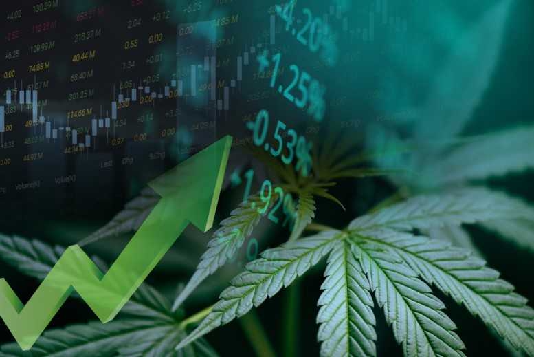 Cannabis14 poringdown@gmail Global Cannabis Beverages Strategic Analysis Report 2022-2023 & 2030: Innovation and Safety Measures Drive Growth in Cannabis Beverage Production