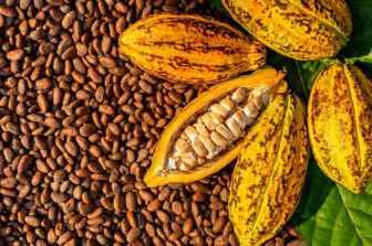 Cocoa Prices Soar to Multi-Decade Highs: What’s Next?