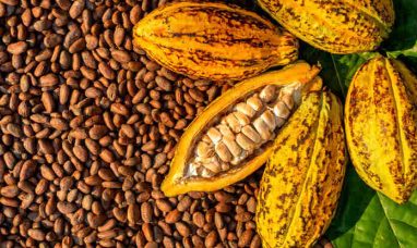 Cocoa Prices Soar to Multi-Decade Highs: What’...