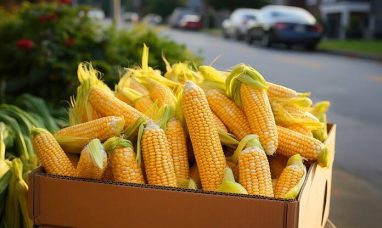 Corn Prices Experience Decline in Morning Trading on...