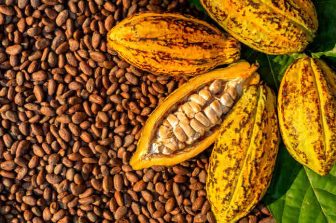 The Unasked Question in the Cocoa Market: Supply or Demand?