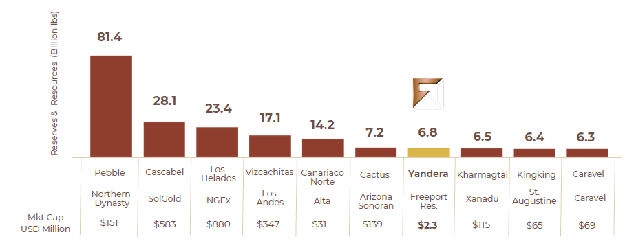 online 2 Chinese and India’s EV Demand Soars in 2024 Sending the Copper Market into a Supercycle