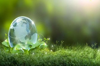 3 in 5 Companies Implemented a Sustainability Strategy in 2024: Euromonitor International