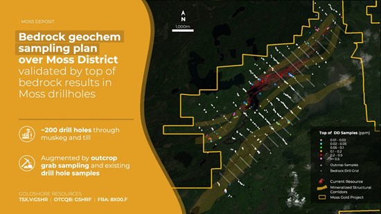 226232 7fe99359b4a57b8f 003 Goldshore Set For Discovery-Focused Winter Exploration Program