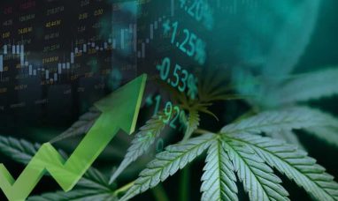 Driven by Transparency, Pleasantrees Commits to a ‘Never Remediated’ Pledge in Debut Cannabis Campaig...