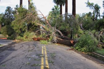 Ontario Lottery and Gaming Corporation – EVENING LOTTERY WINNING NUMBERS – March 6, 2025