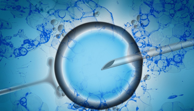 b1b80bc9f7106de7652dc5924e674765 IDEAYA Biosciences Announces Successful FDA Type D Meeting on Phase 3 Registrational Trial Design for Darovasertib as Neoadjuvant Therapy for Primary Uveal Melanoma