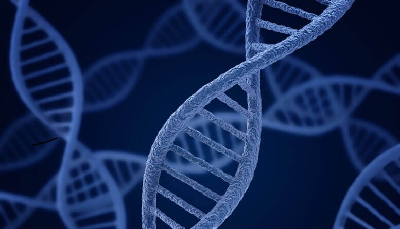 e07bd89a40a20fe1825cc9635c3b3b1f 2 Stealth BioTherapeutics Announces Delay in FDA Action Date for Barth Syndrome Application