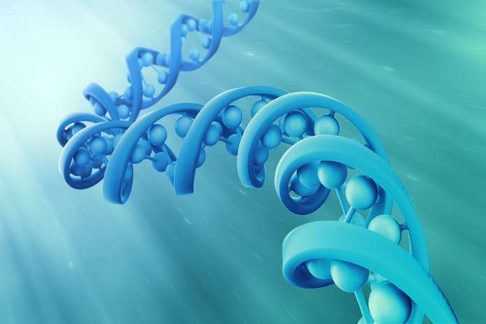 2da9df723bd64c8f5de6268f94eac7df TransCode Therapeutics Announces 1-for-28 Reverse Stock Split