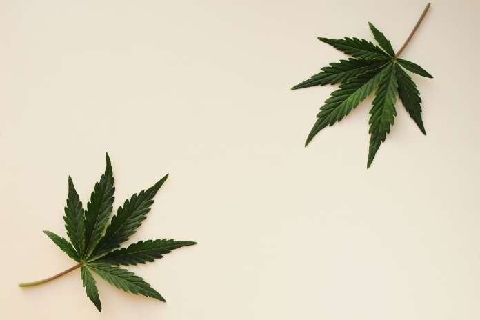 3b9a537ce379cb2640528c146d7c9edd Distru Launches "DistruCommerce," Empowering Cannabis Brands to Take Back Control of Wholesale--Flat Fee, No Surprise Costs