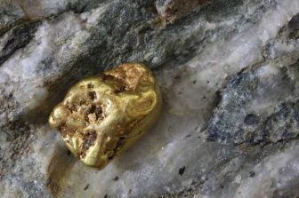 P2 Gold Announces Management, Metallurgical Testwork Updates