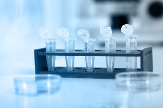 CureLab Veterinary’s ElenaVet™ Gene Therapy Delivers 90% Success in Pet-Dog Osteoarthritis Study