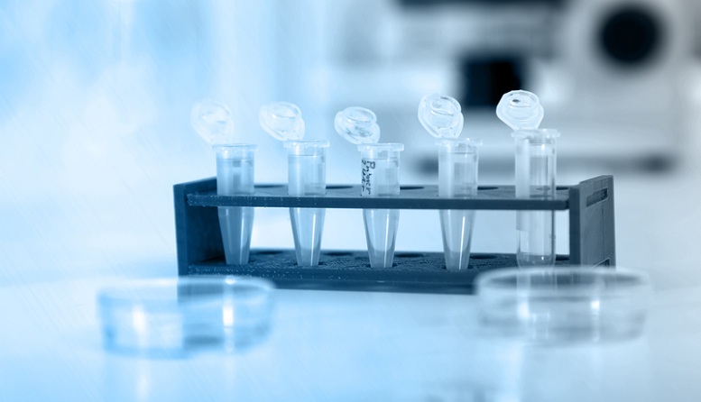 05cdc0363d360034fc328f3c1126a7f0 CureLab Veterinary's ElenaVet™ Gene Therapy Delivers 90% Success in Pet-Dog Osteoarthritis Study