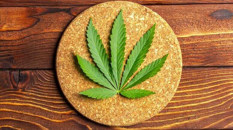 0659b00f894c872a7e463363023cf0a6 1 30mg THC Seltzers Hit the Market from Ounce of Hope