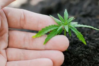 IM CANNABIS ANNOUNCES FILING OF SHELF REGISTRATION STATEMENT ON FORM F-3