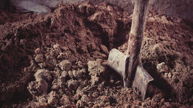 6c661b944179eeb28d3e4c7b10816c8f FORTUNE BAY INITIATES ENVIRONMENTAL STUDIES AND COMMUNITY ENGAGEMENT FOR GOLDFIELDS