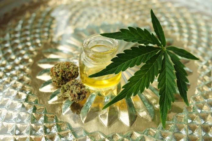 8095d8c0d241627e72a10e07c0d818d8 1 Elevate Holistics Launches Comprehensive Cannabis E-Book After Years of Consulting Patients on the Most Important Questions When It Comes to Cannabis