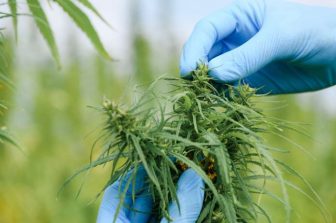 Innocan Pharma Announces Public Filing of Registration Statement for Proposed U.S. Public Offering