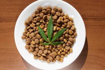 /R E P E A T — MEDIA ADVISORY – The SQDC to Extend the Opening Hours of Some Stores/