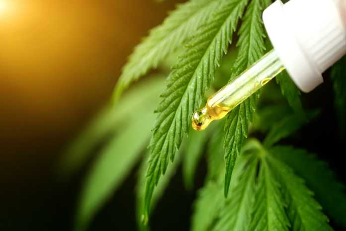 b66a03942af374f05f79b41898ec3332 SIMPLY SOLVENTLESS ANNOUNCES COMMENCEMENT OF HUMBLE GROW CO. RETROFIT EXPECTED TO INCREASE PRODUCTION TO 14,000KG OF CANNABIS PER YEAR & CLOSING OF ANC INC. PROM NOTE REPAYMENT AND AMENDMENT
