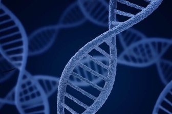 HotSpot Therapeutics Presents Preclinical Data from Small Molecule CBM Signalosome Inhibitor Program at ESMO Gastrointestinal Cancers Congress 2025