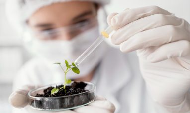 Pangea Engages Emerging Markets Consulting, LLC