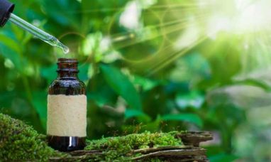 Should You Buy Tilray Brands Stock?