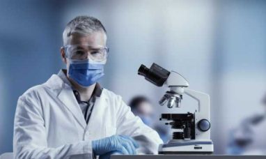 More Muscle, Less Belly Fat Slows Brain Aging