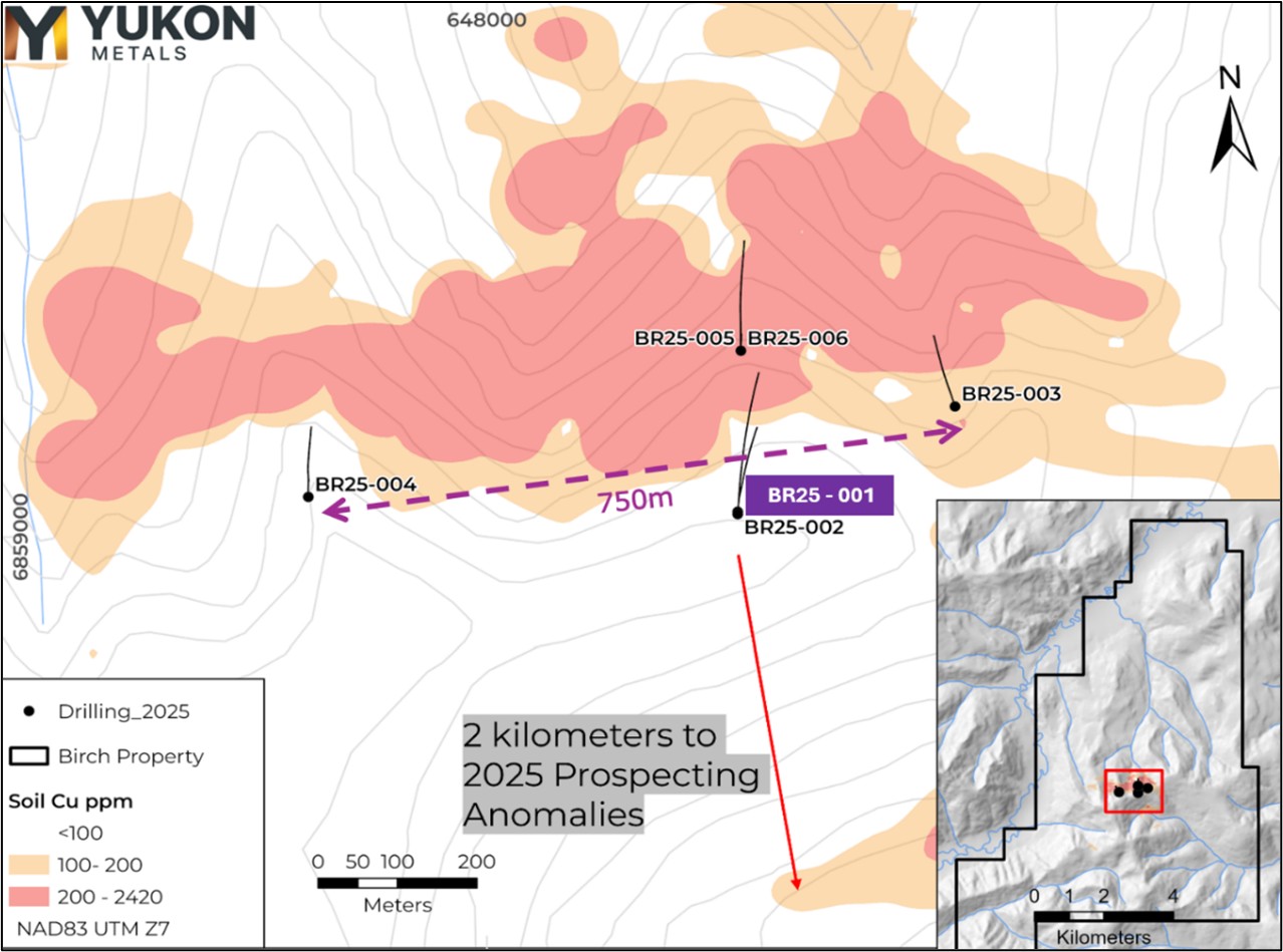 picture1 First Drill Hole Confirms High-Grade Copper Skarn Mineralization at the Birch Project
