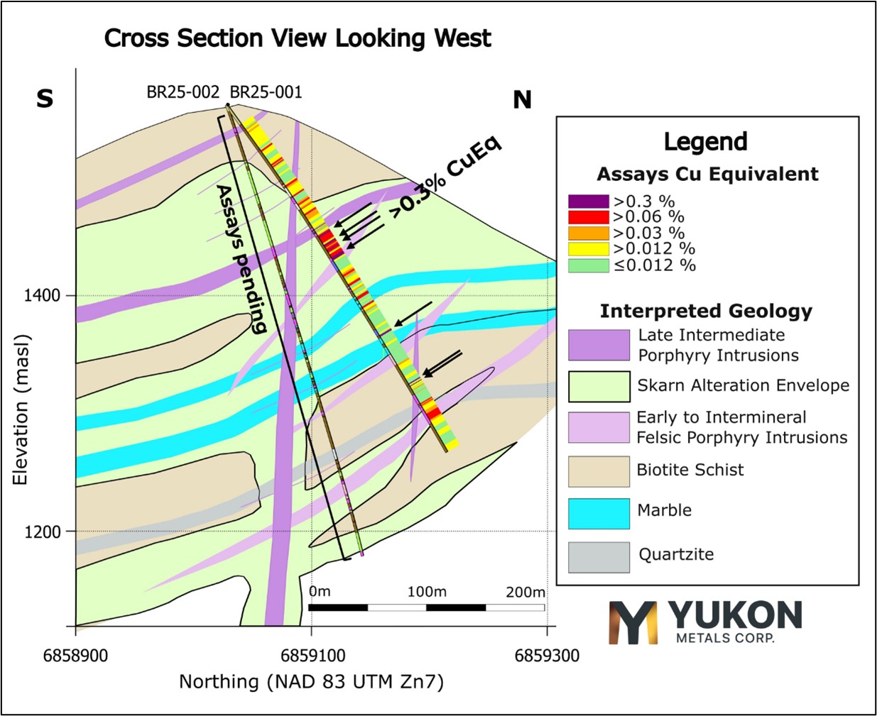 picture3 First Drill Hole Confirms High-Grade Copper Skarn Mineralization at the Birch Project