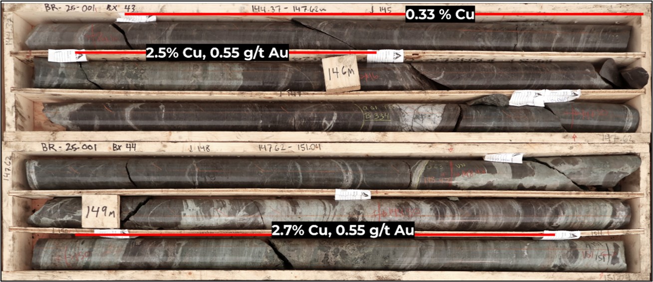 picture4 First Drill Hole Confirms High-Grade Copper Skarn Mineralization at the Birch Project