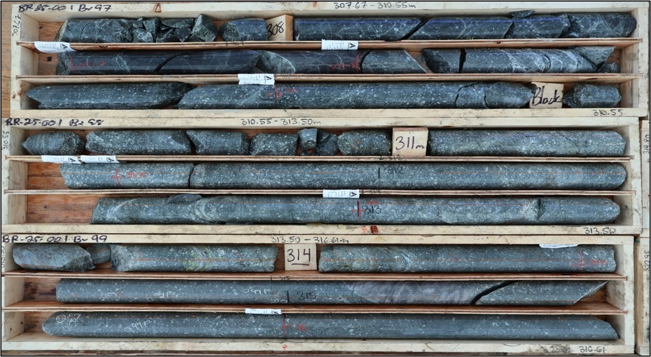 picture5 First Drill Hole Confirms High-Grade Copper Skarn Mineralization at the Birch Project